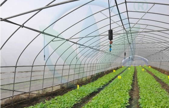 ����΢��