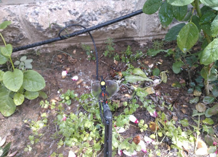 ʮ������΢��