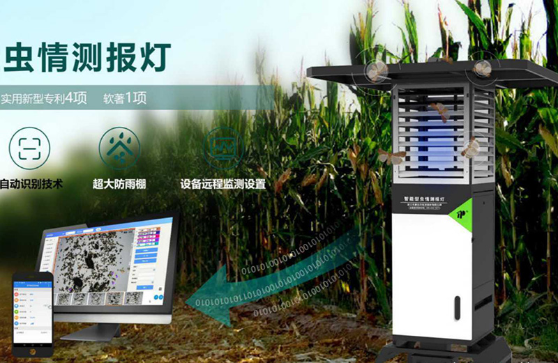 ����ⱨ��